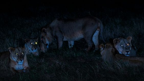  &copy; David Clode/Unsplash