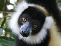  © Tourism Madagascar
