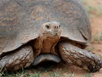  © www.dein-suedafrika.de